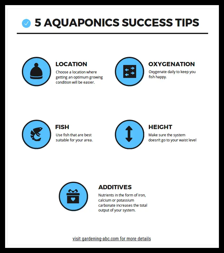 aquaponics success tips infographics