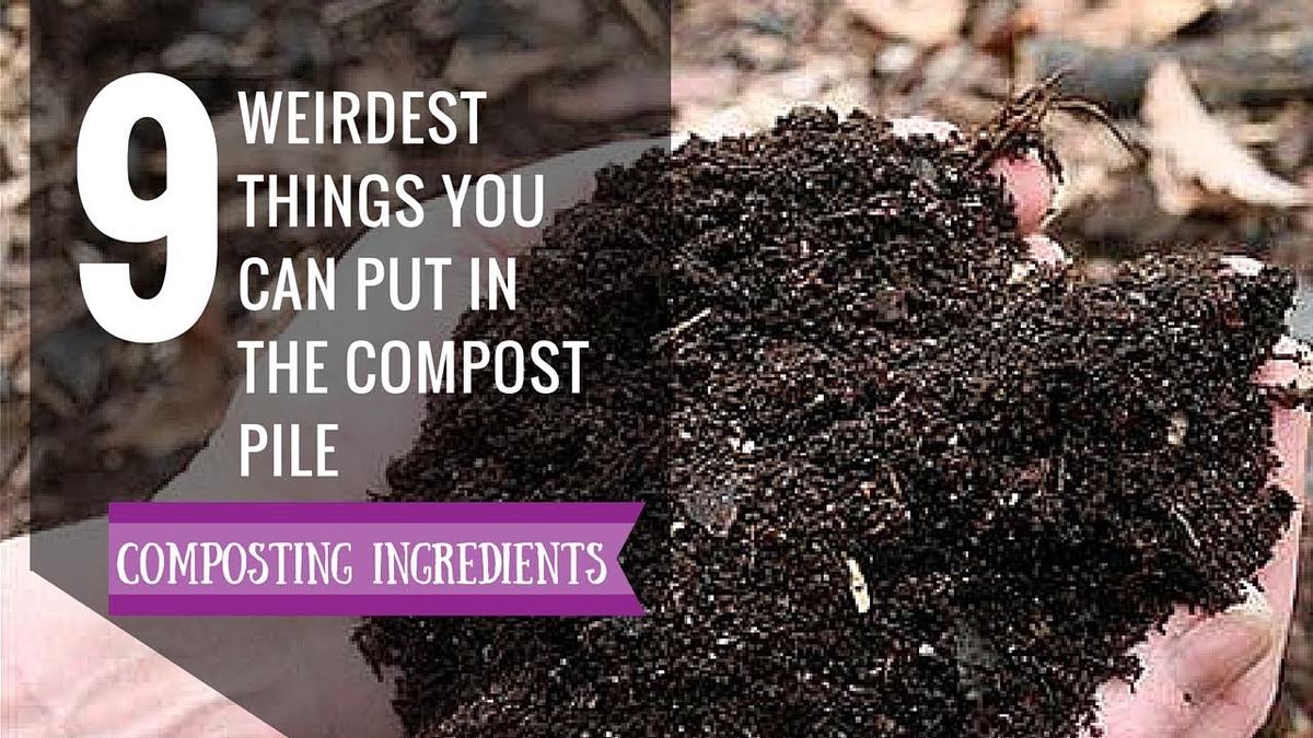 Weird Compost Ingredients 9 Things you never thought you can put