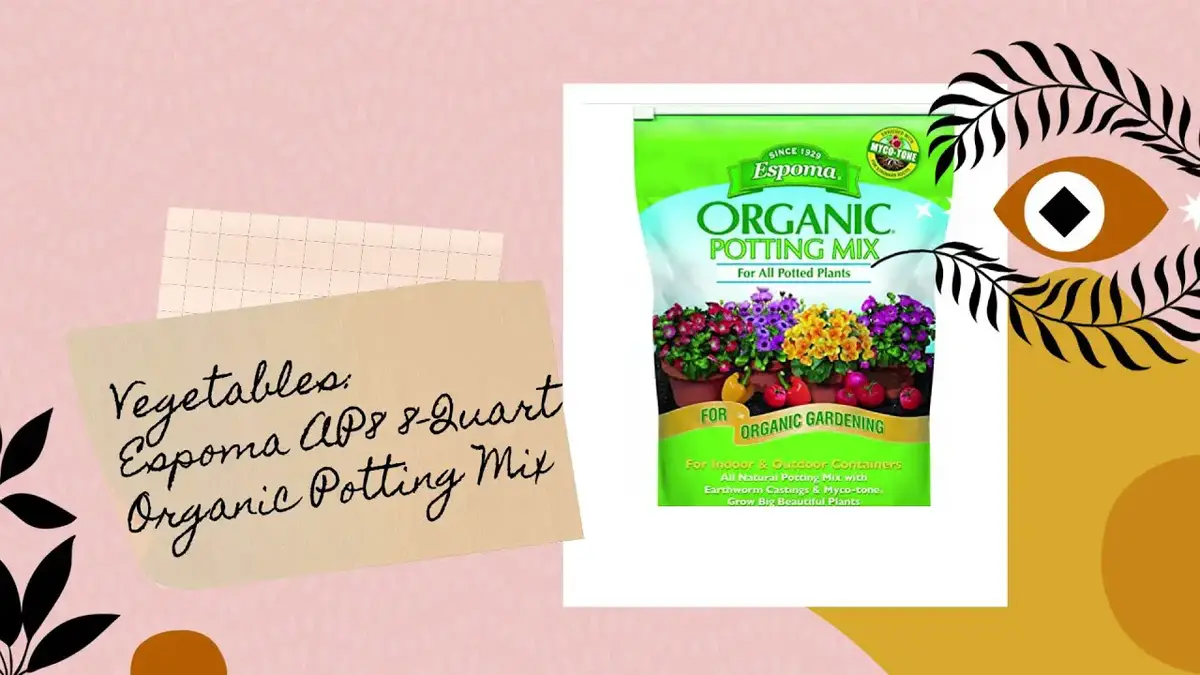 'Video thumbnail for Which Are The Beat Soil For Herbs, Vegetables, and Indoor Plants? (2021)'