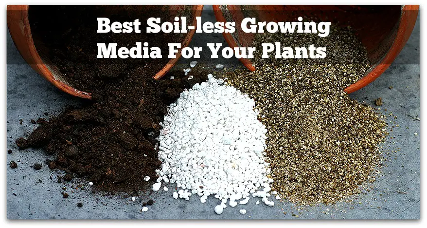 Best Soilless media