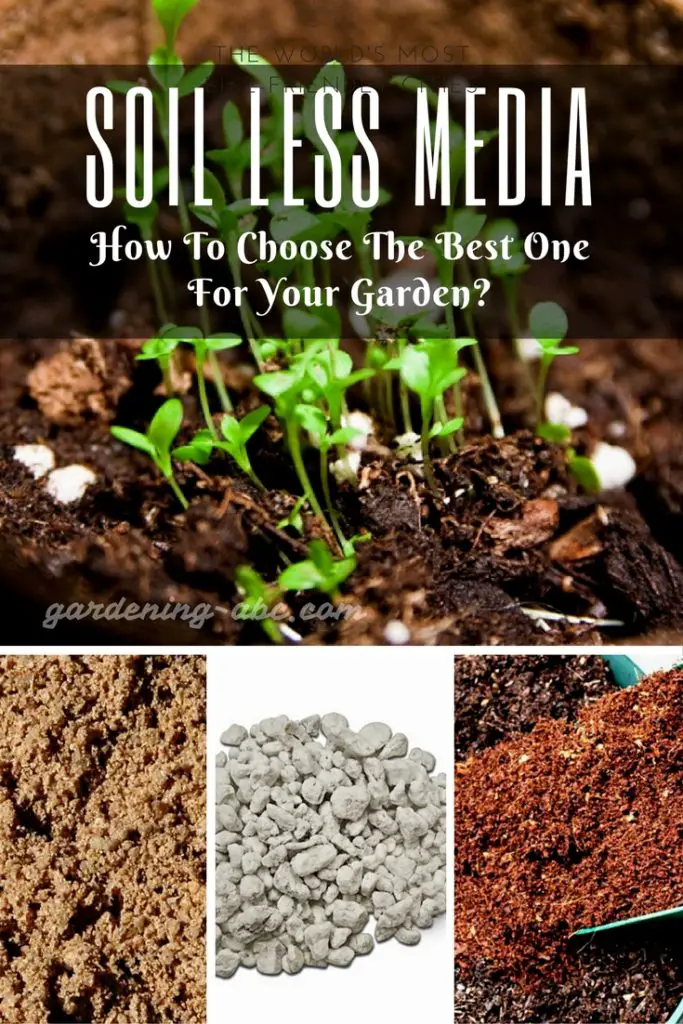 soil_less_media | Gardening ABC