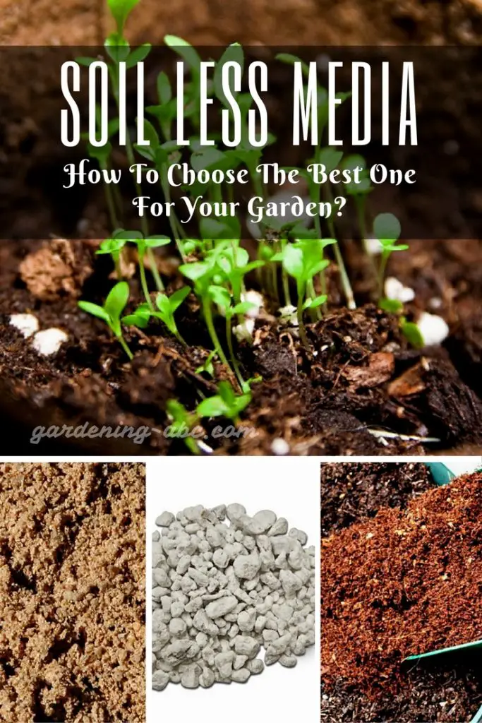 best soilless mediums