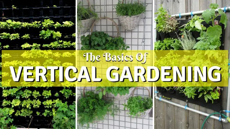 What is A Vertical Garden: Learn Everything From Start To Finish