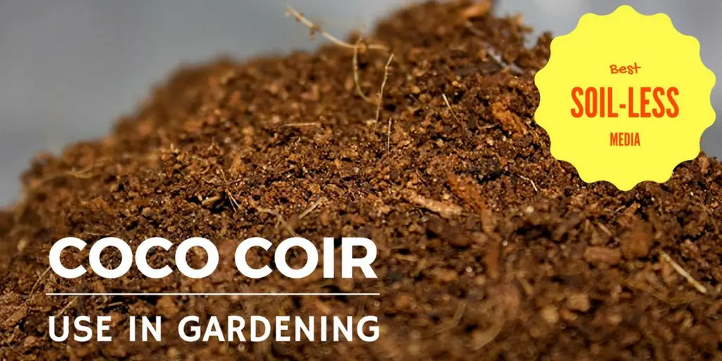 What Is Coco Coir and How to Use It In Gardening