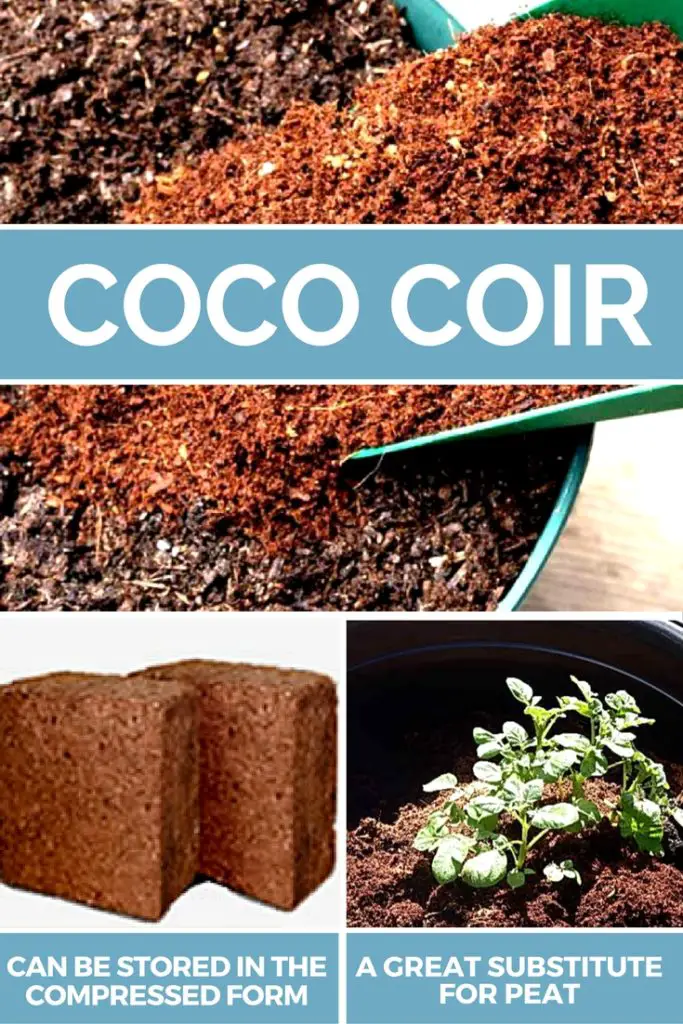coco coir in gardening