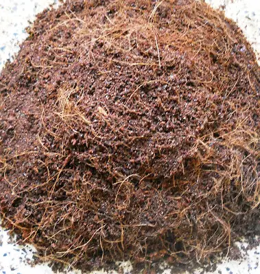 What Is Coco Coir and How to Use It In Gardening