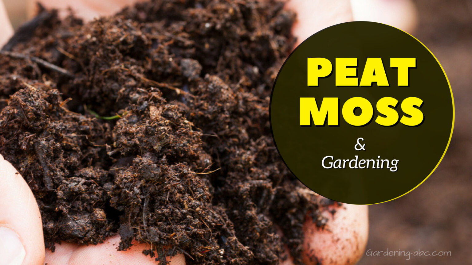 What Is Peat Moss Does It Hold Water, Make Soil Acidic, Or Go Bad
