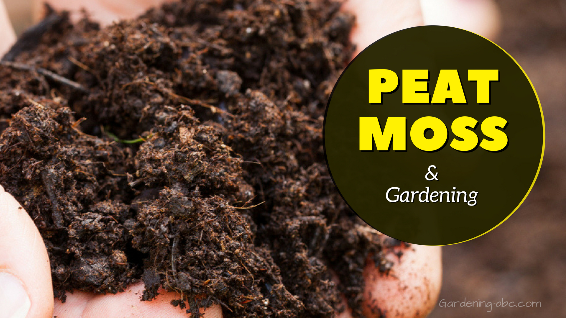 what is peat moss