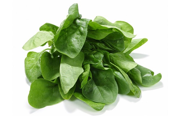 easy to grow spinach