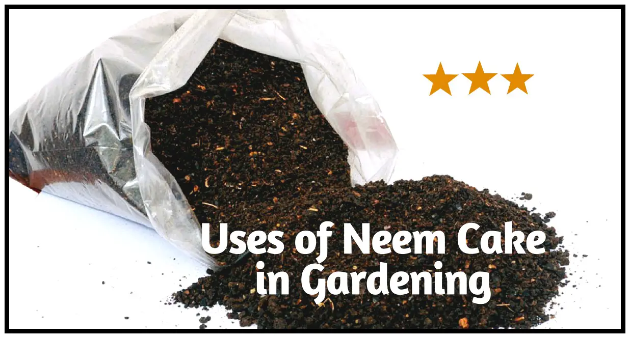 Uses of Neem Cake in Gardening