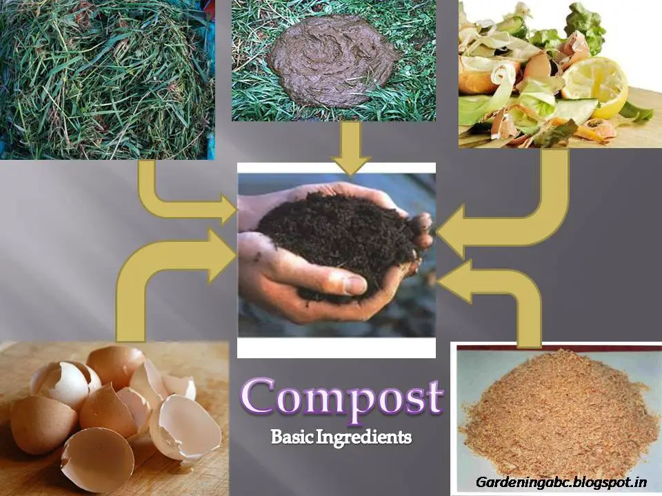 Compost Ingredients What To Put Inside A Compost Pile Gardening ABC