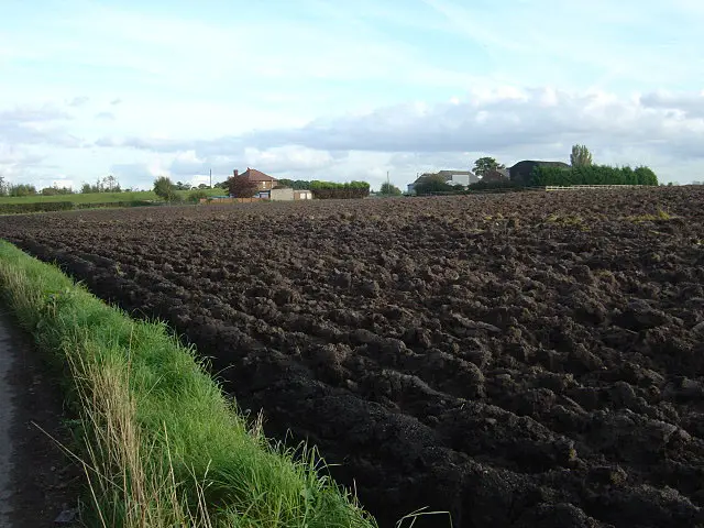 soil type loamy soil