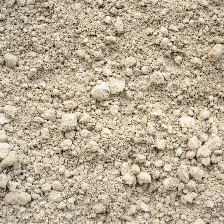 Can You Grow Plants In Silty Soil? 3 Simple Ways to Improve Silty Soil