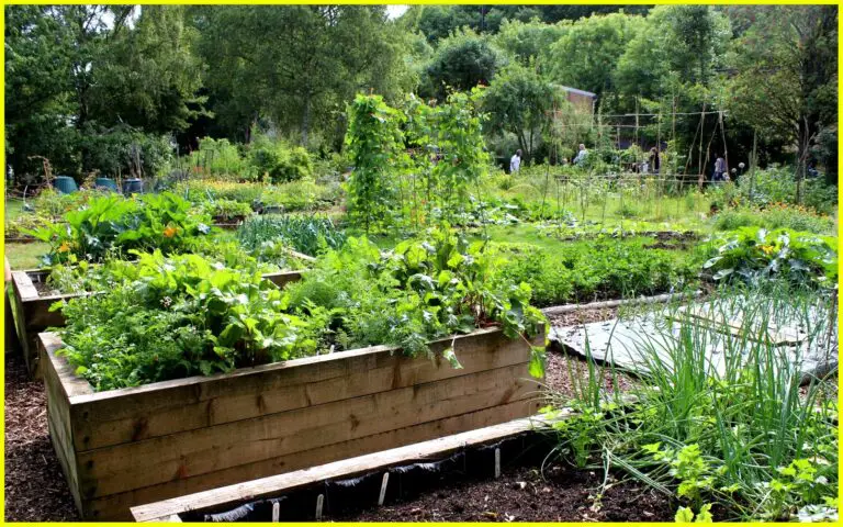 How to Build A Raised Garden Bed: ABC of Raised Beds