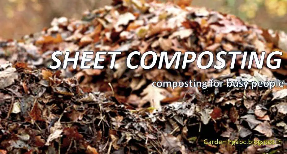 what is sheet composting