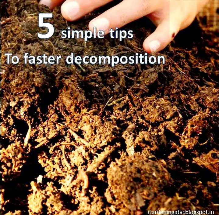 How to compost fast composting tips