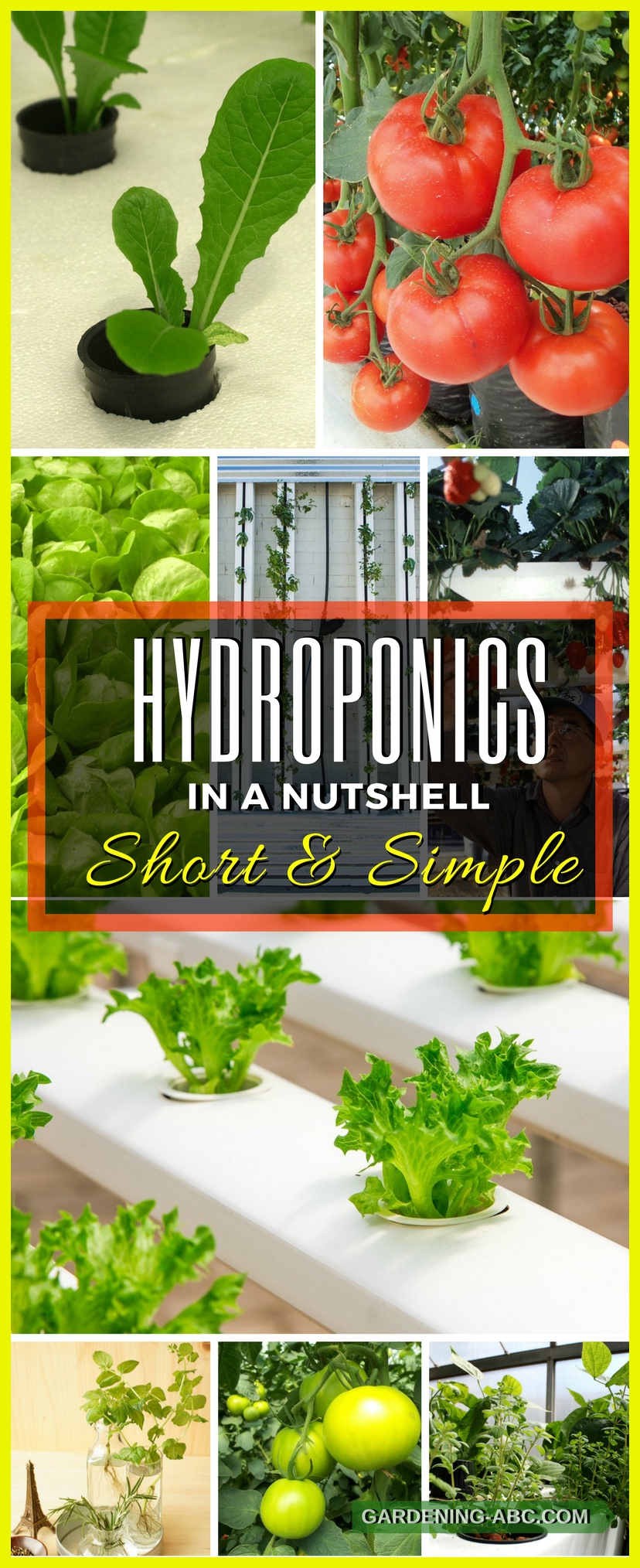 basics of hydroponics