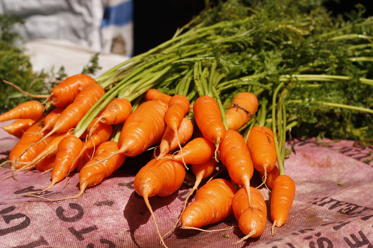 are carrots a cool weather crop