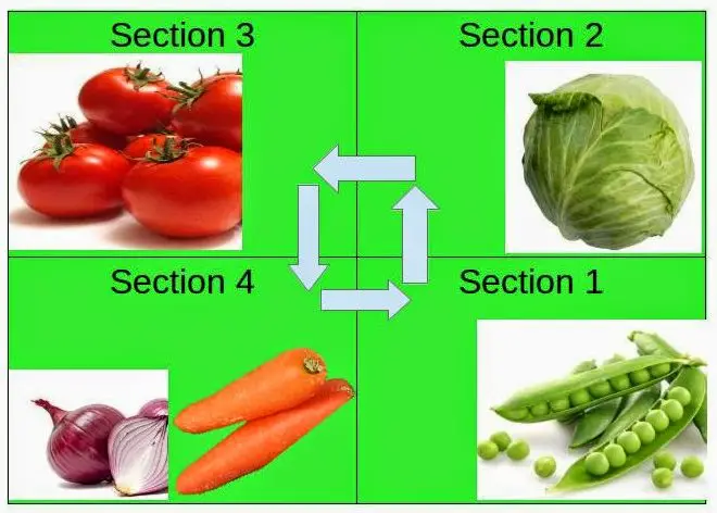 crop rotation system