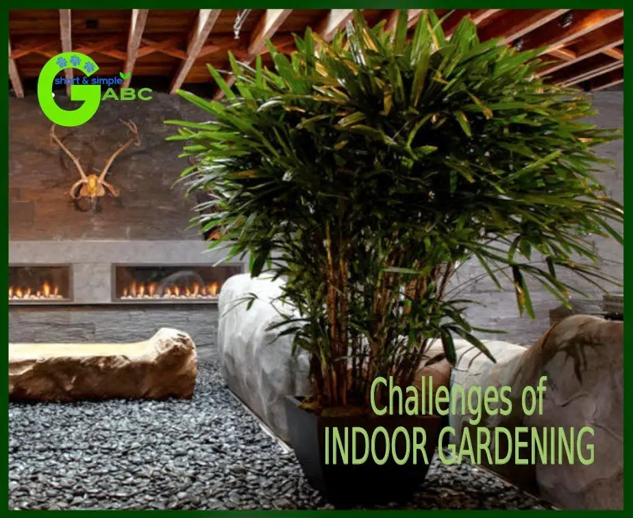indore gardening challenges