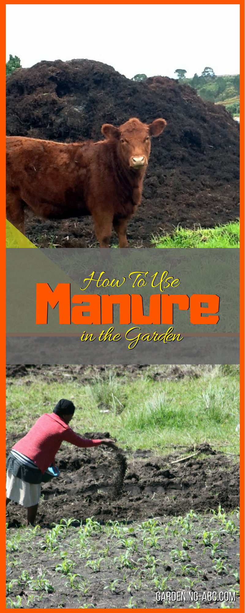 Using Manure to Fertilize the Garden