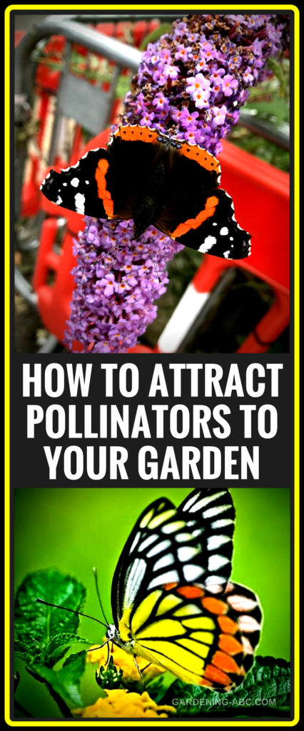 how to make pollinator garden