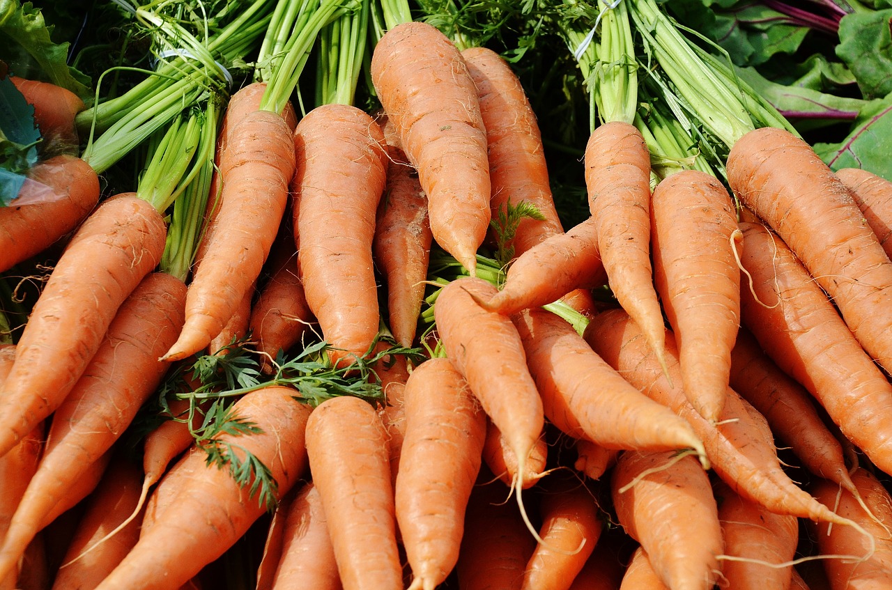 Growing Carrots Faq