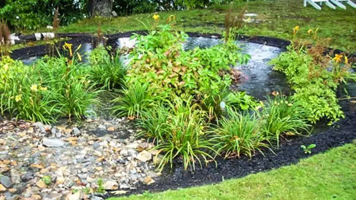 Basics Of Rain Garden What Why And How Of Building A Great Garden