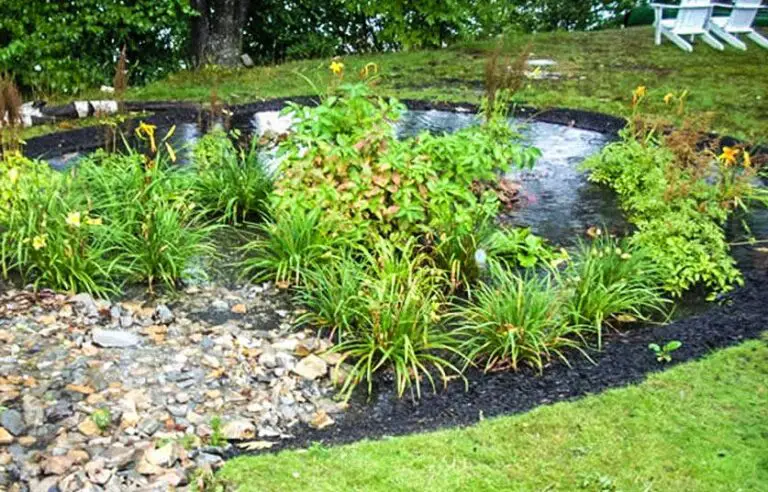 Building Your Own Rain Garden Is Easy- Follow These Simple Steps