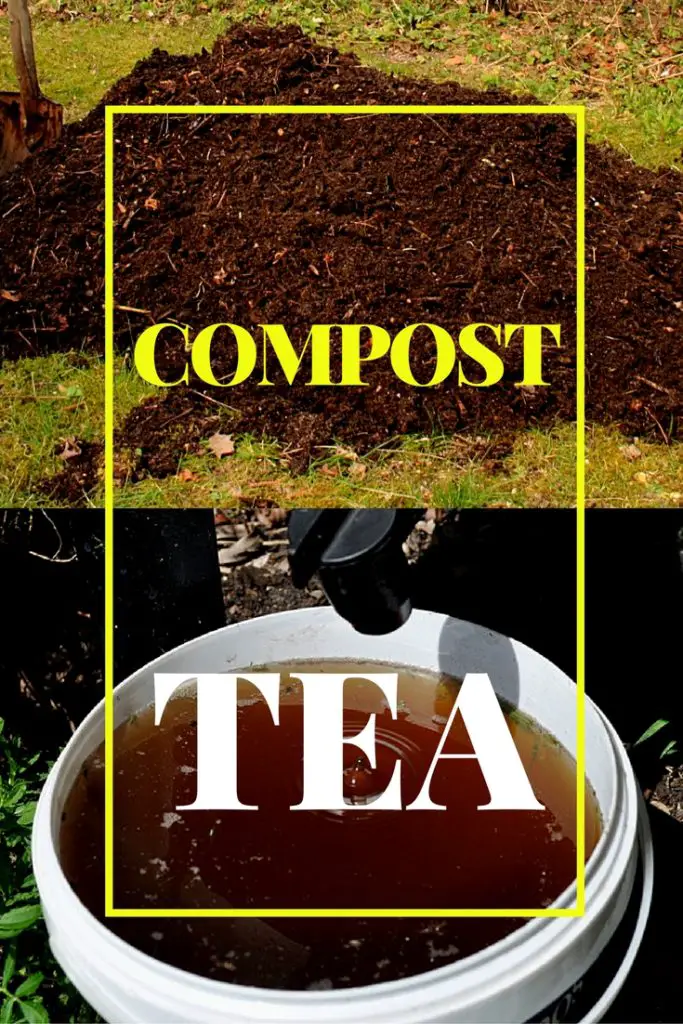 easy compost tea recipe
