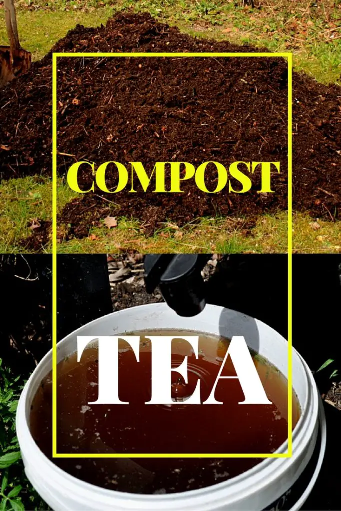 How To Make Compost Tea: Simple Compost Tea Recipe For Your Plants And ...