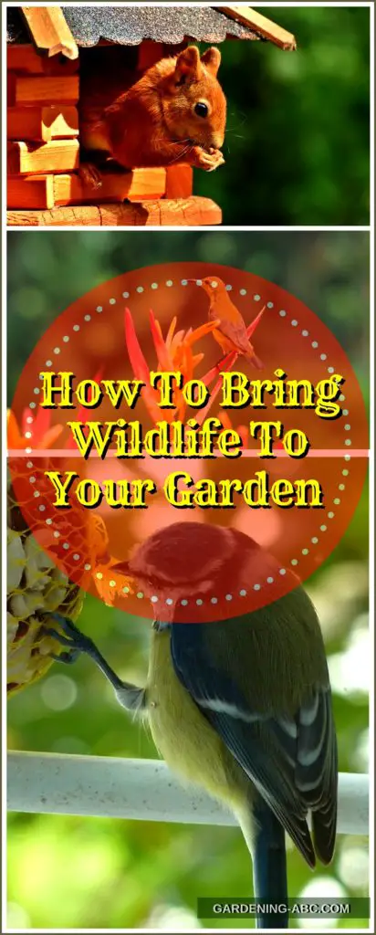 gardening for wildlife