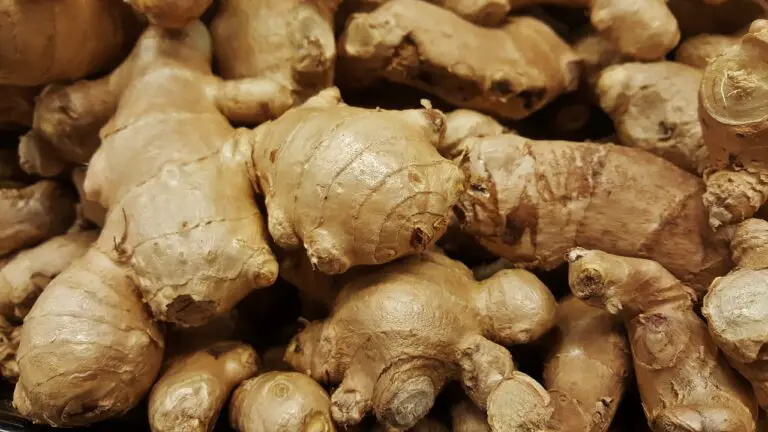 How To Grow Ginger Plants Useful Tips on Growing Ginger At Home