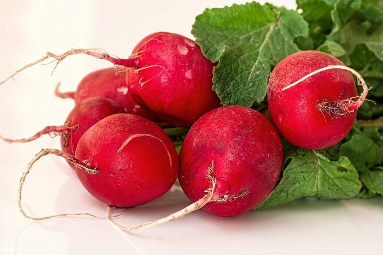 How to Grow Radish At Home: Uncover the Secrets to Growing Radish
