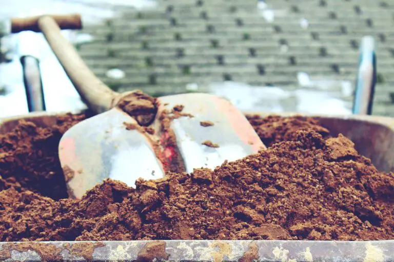 10 Advantages of Sand In Garden Soil That You Probably Don’t Know