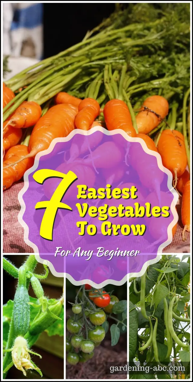 EasiestVegetablesToGrow Gardening ABC