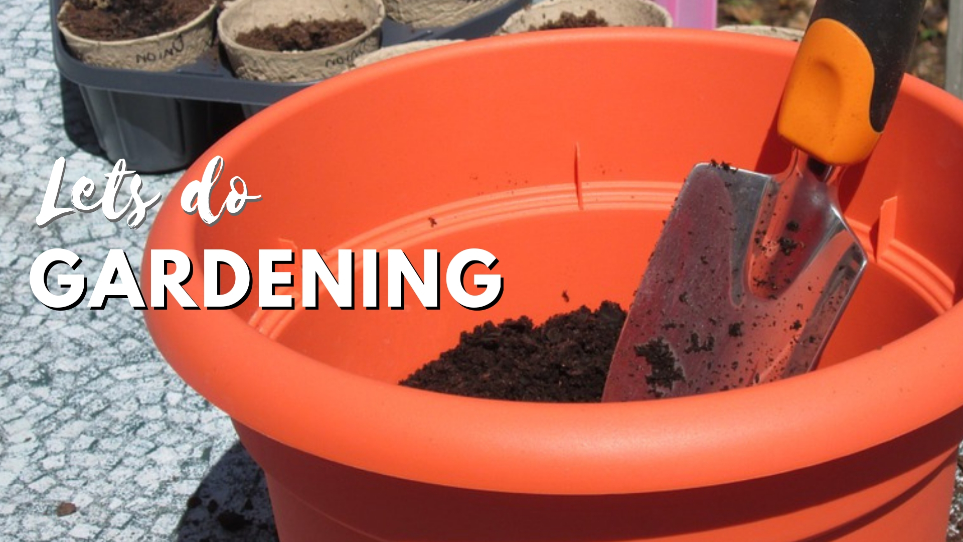 basics of gardening