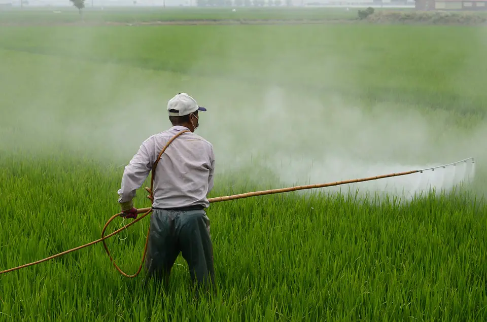 dangers of pesticides