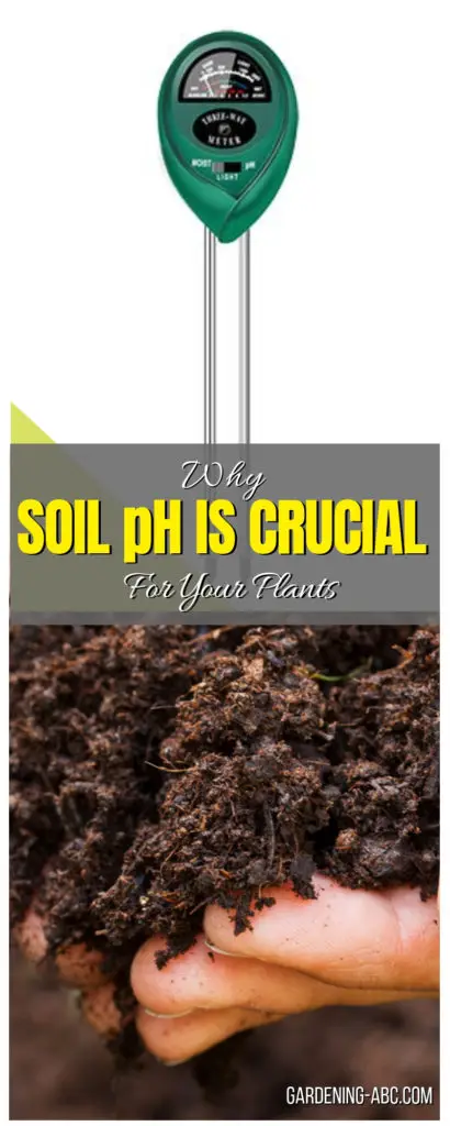 SOIL PH