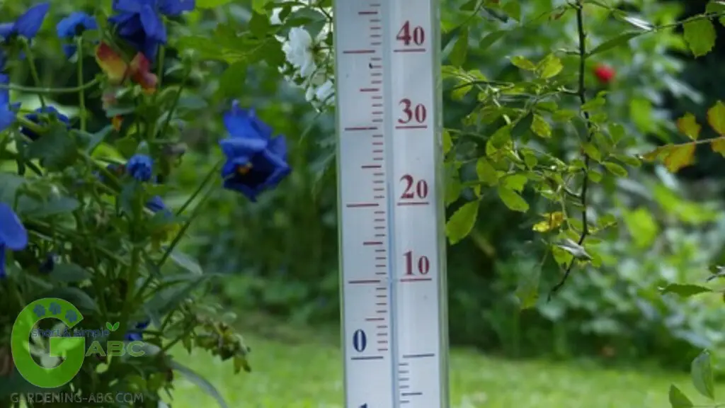 Temperature And Plant Growth How Does Temperature Affect