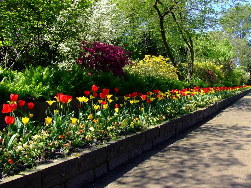 raised flower beds