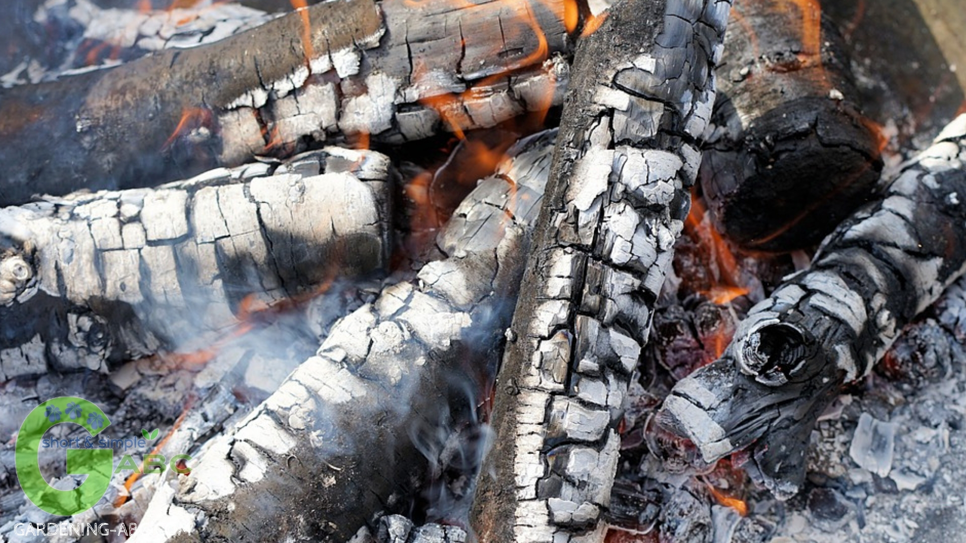 Composting ingredients wood ash