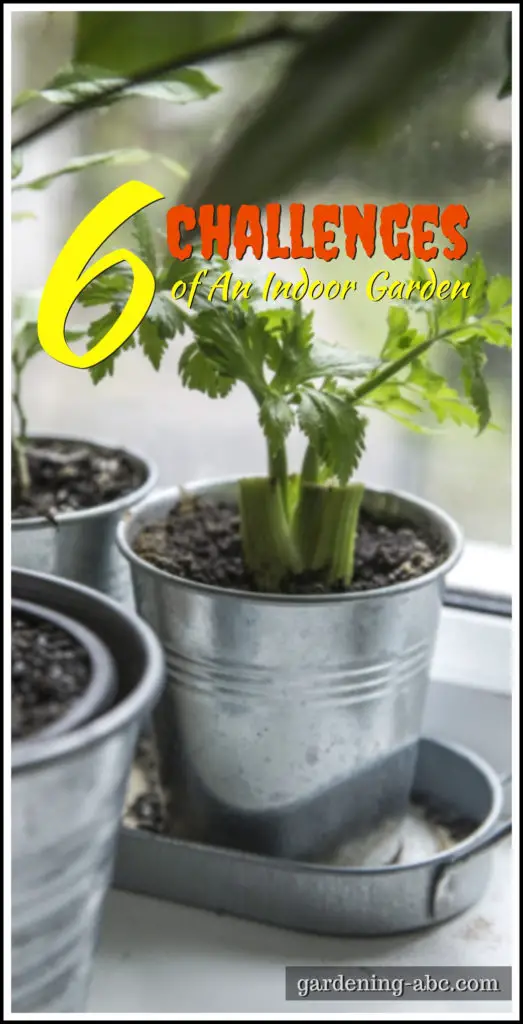 challenges of indoor gardening