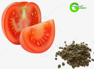 Simple Steps To Save Tomato Seeds