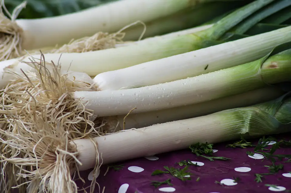 leeks for alkaline soil