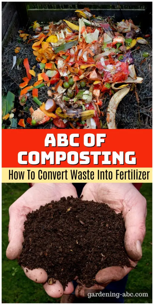 basics of home composting