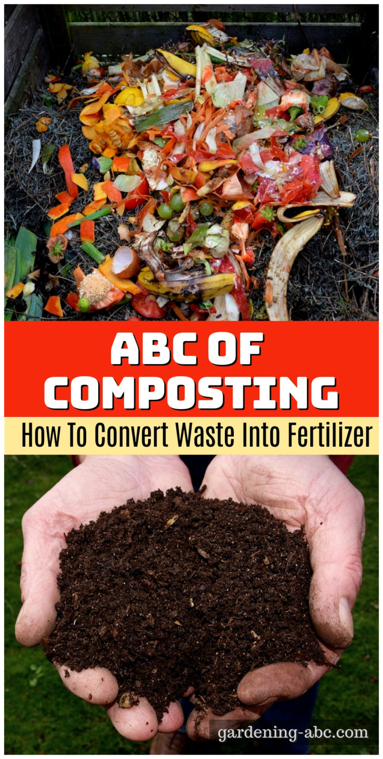 What Is Compost Learn The Basics Of Home Composting In 2 Minutes