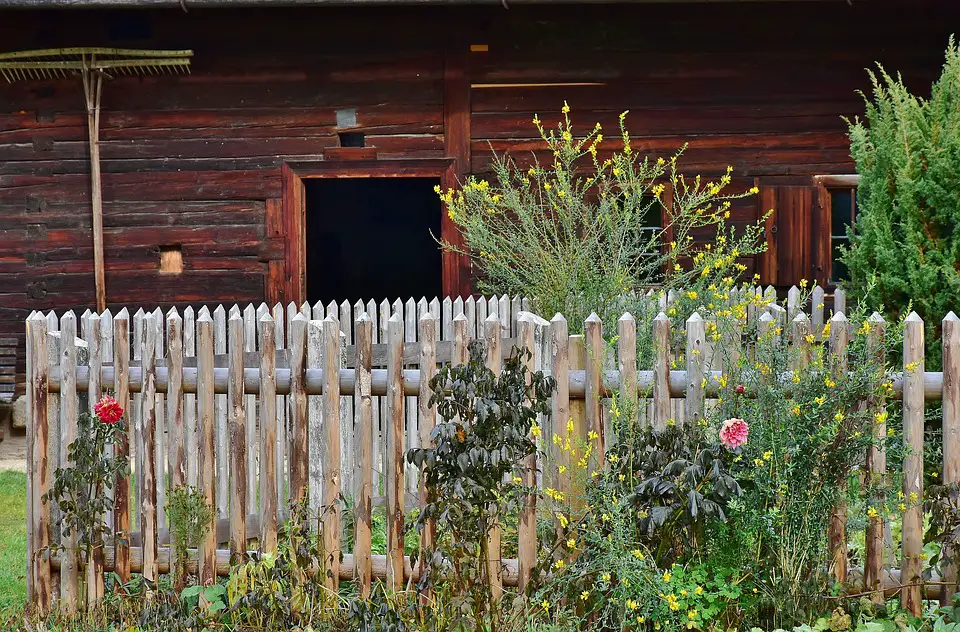 backyard landscaping