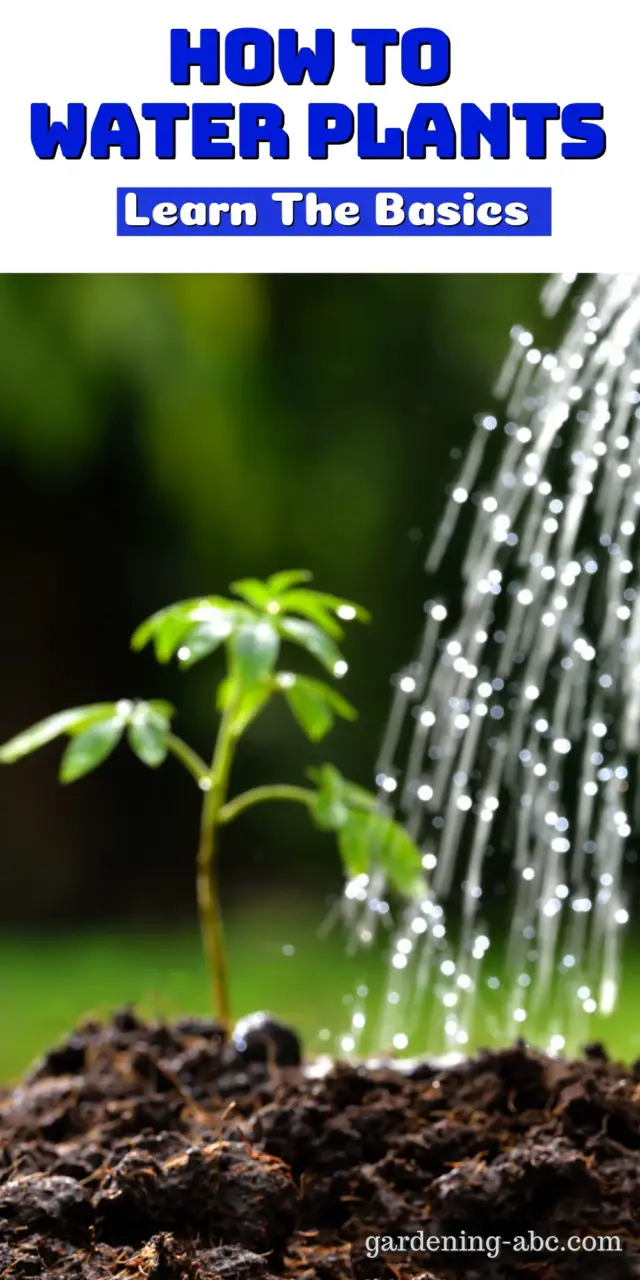 Water the plants перевод