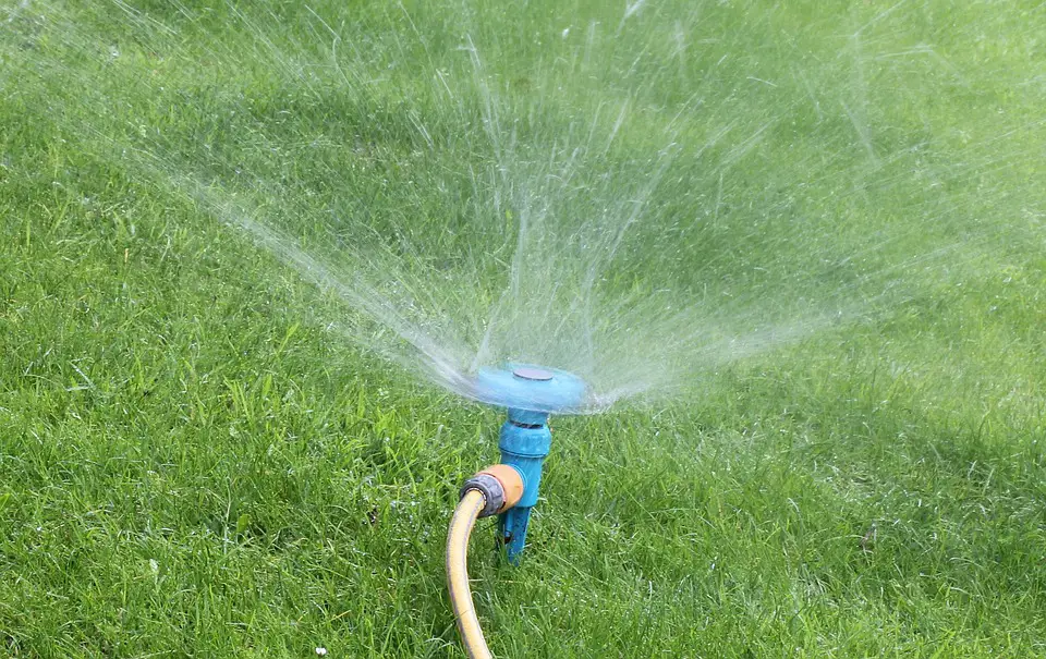 water sprinkler to water your plants